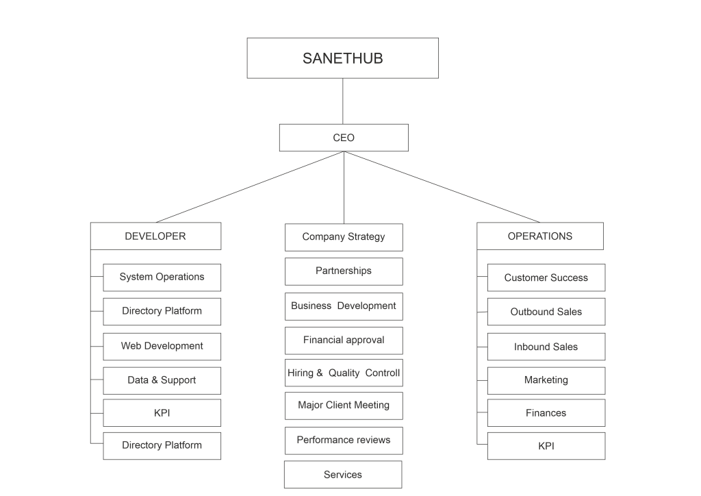 sanethub workflow