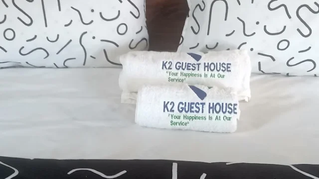 sanethub