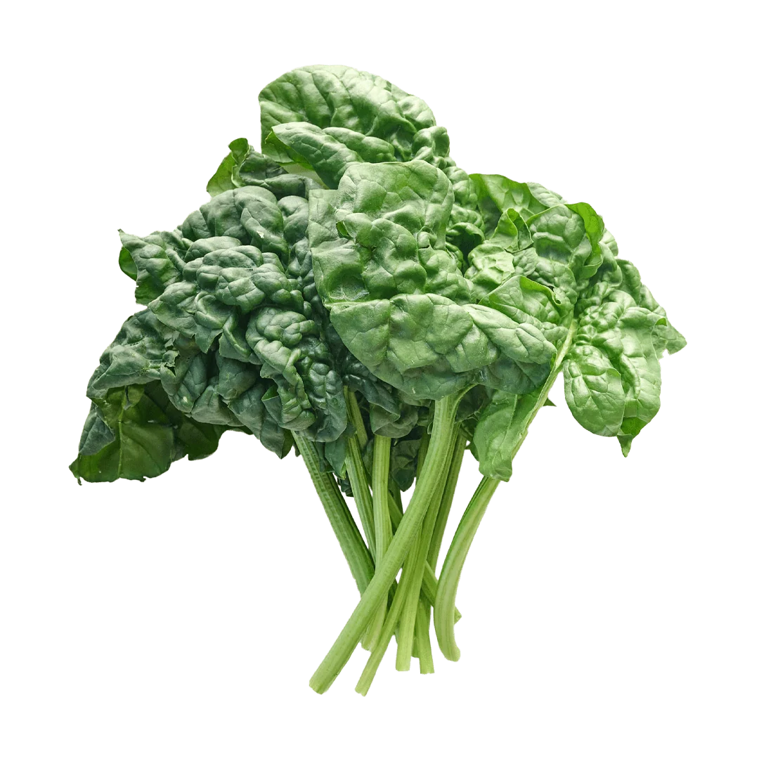 spinach giant benefits 1