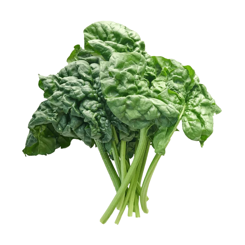 spinach giant benefits 1